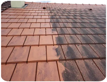 Nettoyage de toiture devis Nogent-le-Roi 28210 Eure-et-Loir